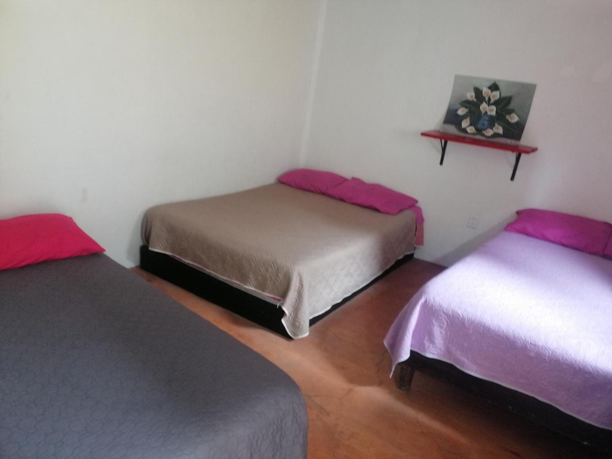 Alojamiento Casita del Árbol México DF Habitación foto