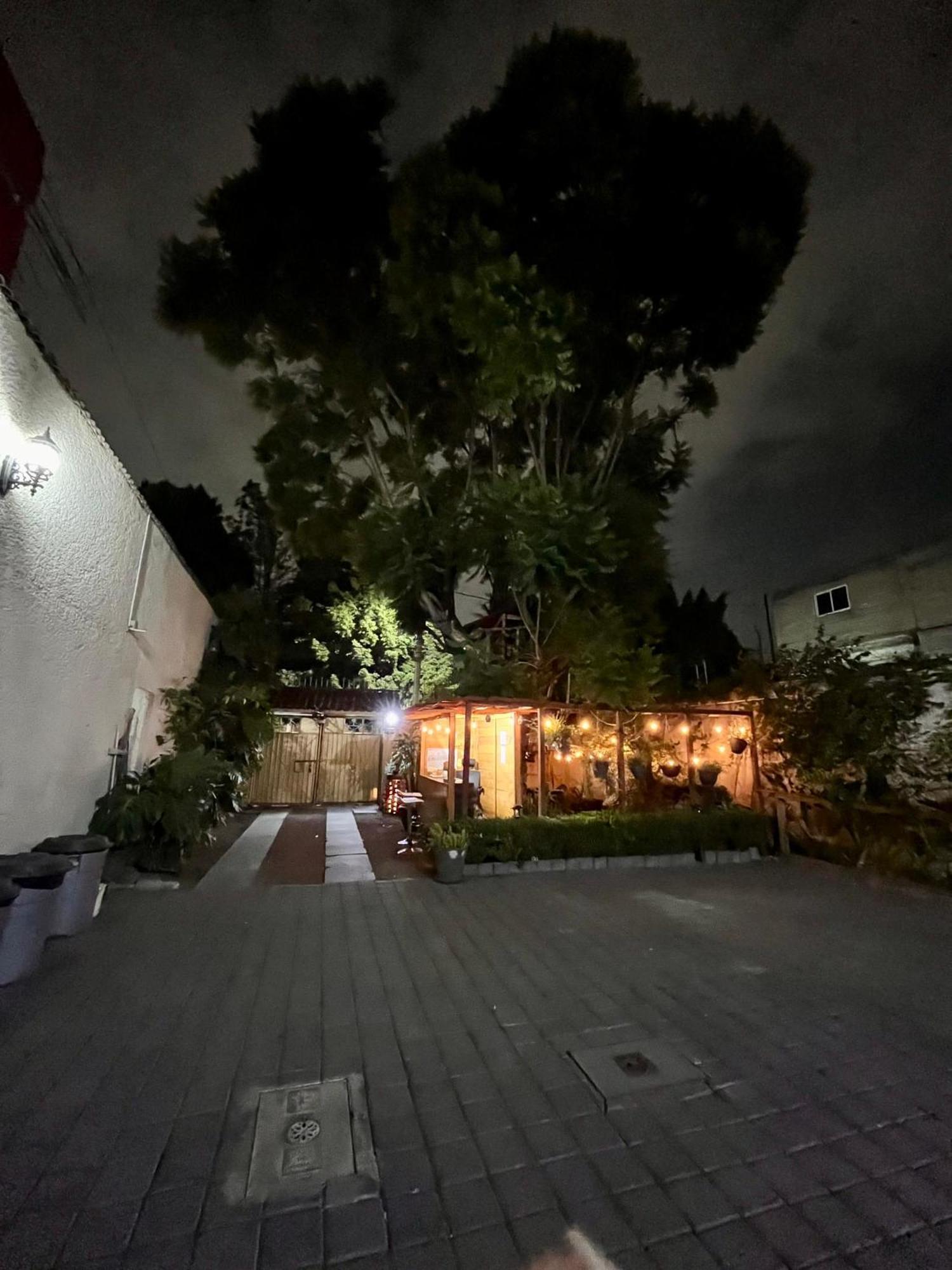 Alojamiento Casita del Árbol México DF Exterior foto