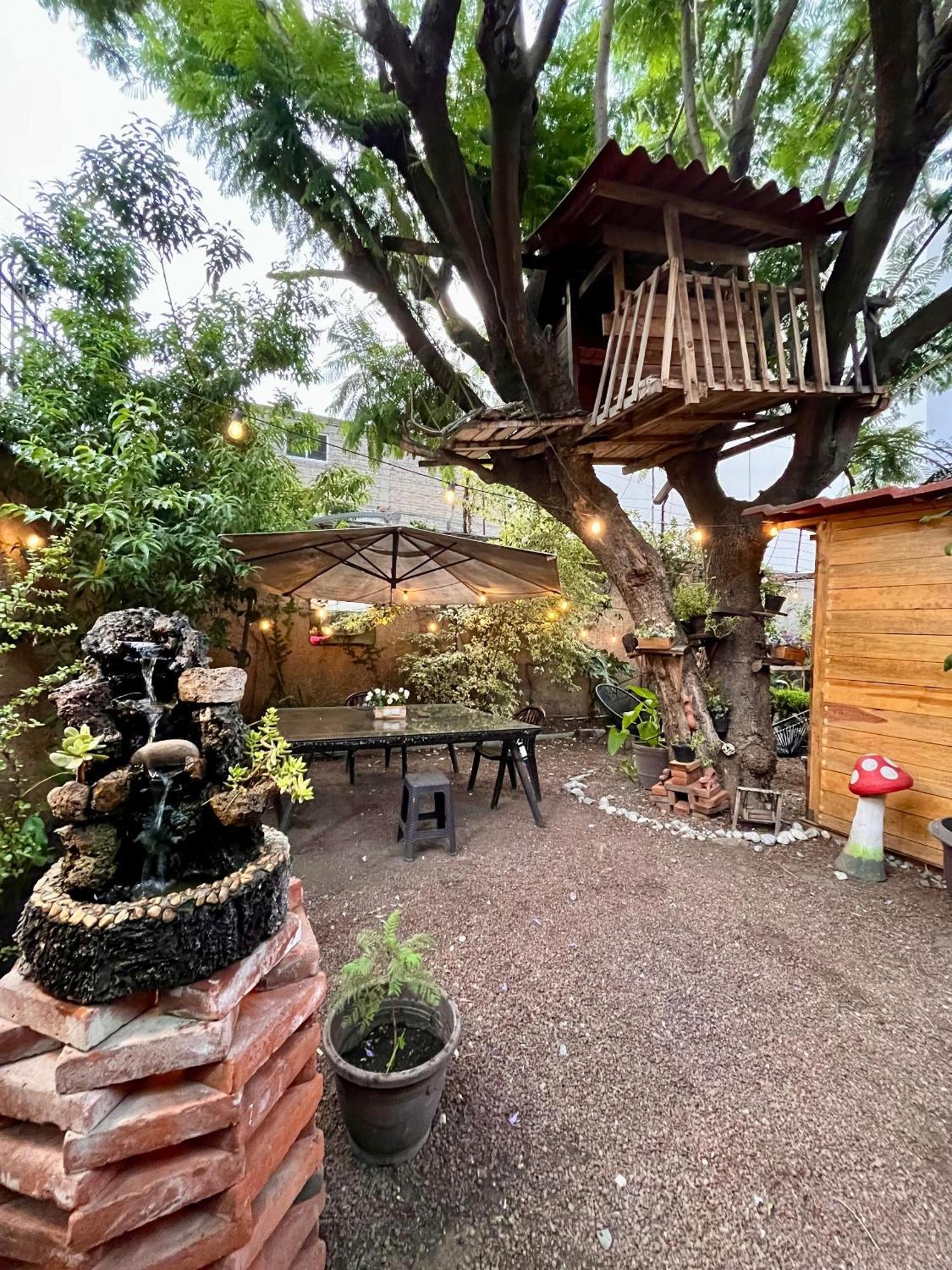 Alojamiento Casita del Árbol México DF Exterior foto