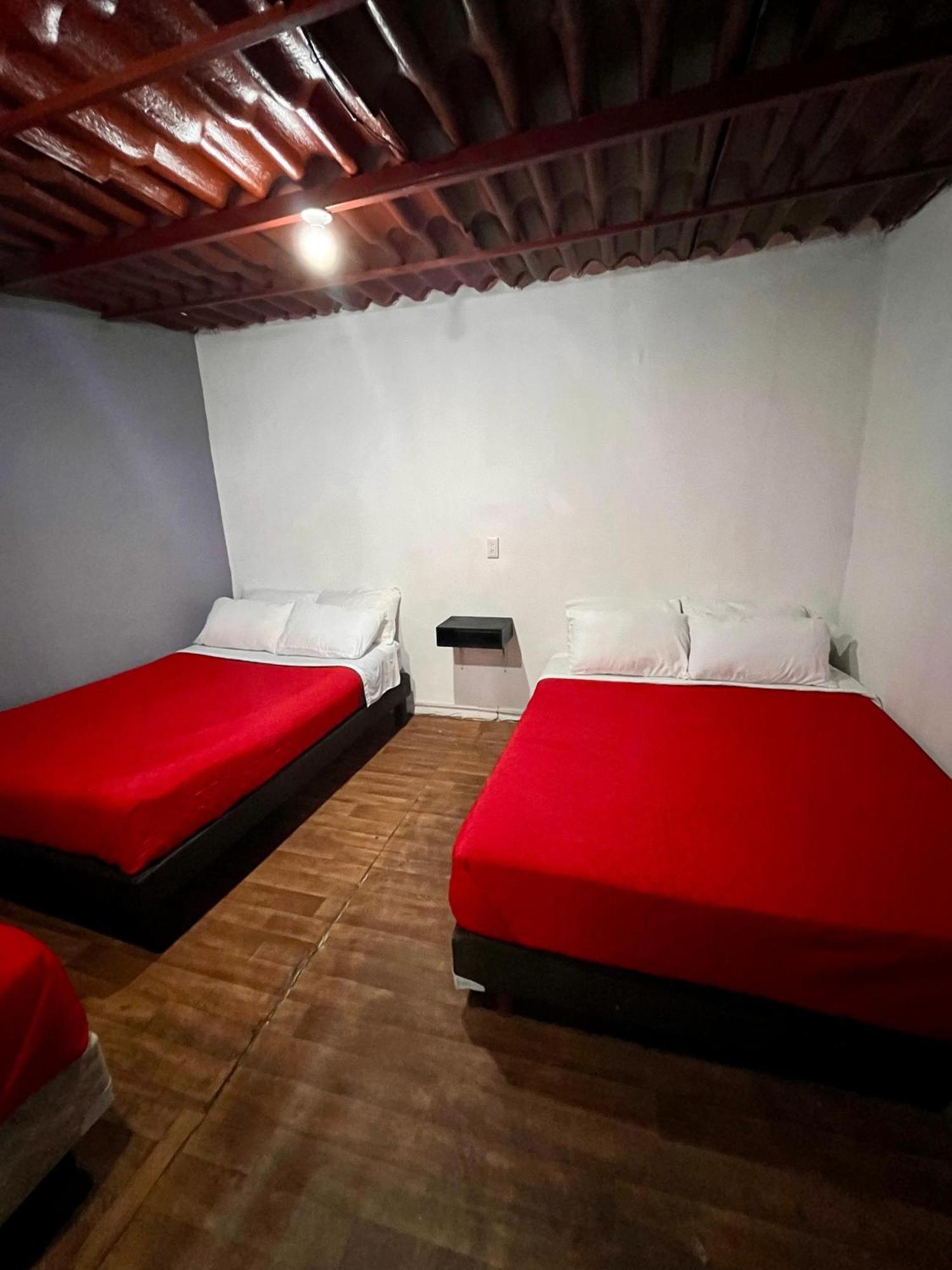 Alojamiento Casita del Árbol México DF Exterior foto