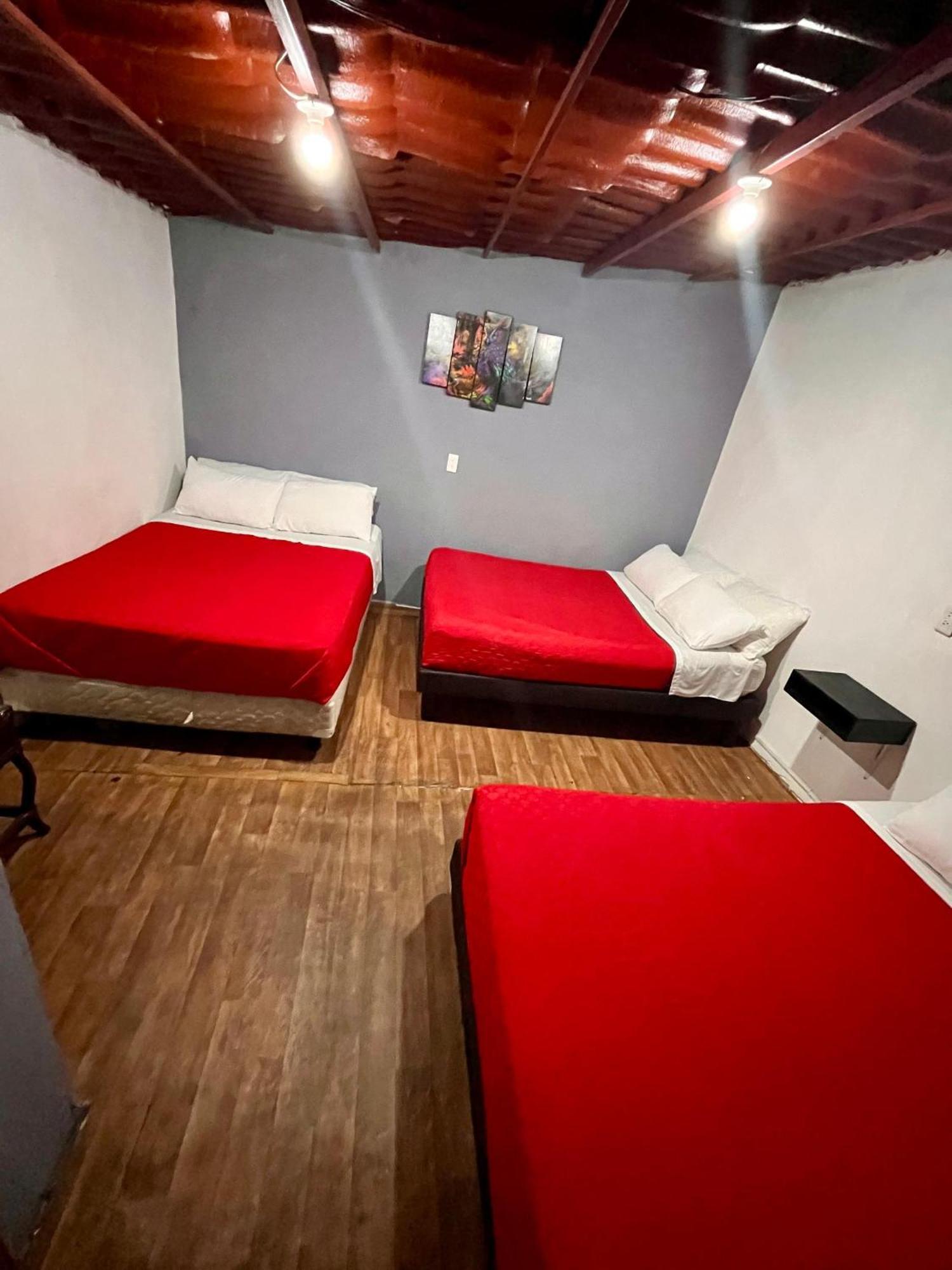 Alojamiento Casita del Árbol México DF Exterior foto