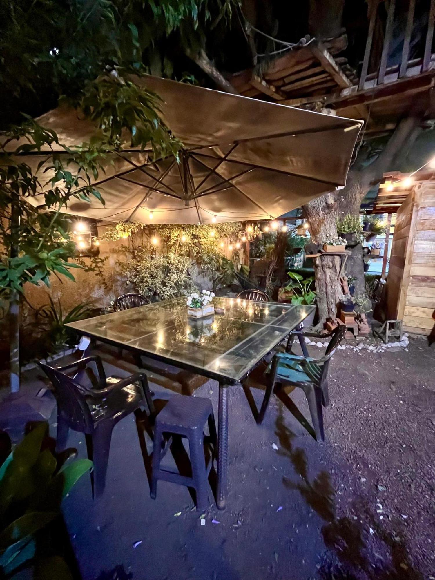 Alojamiento Casita del Árbol México DF Exterior foto
